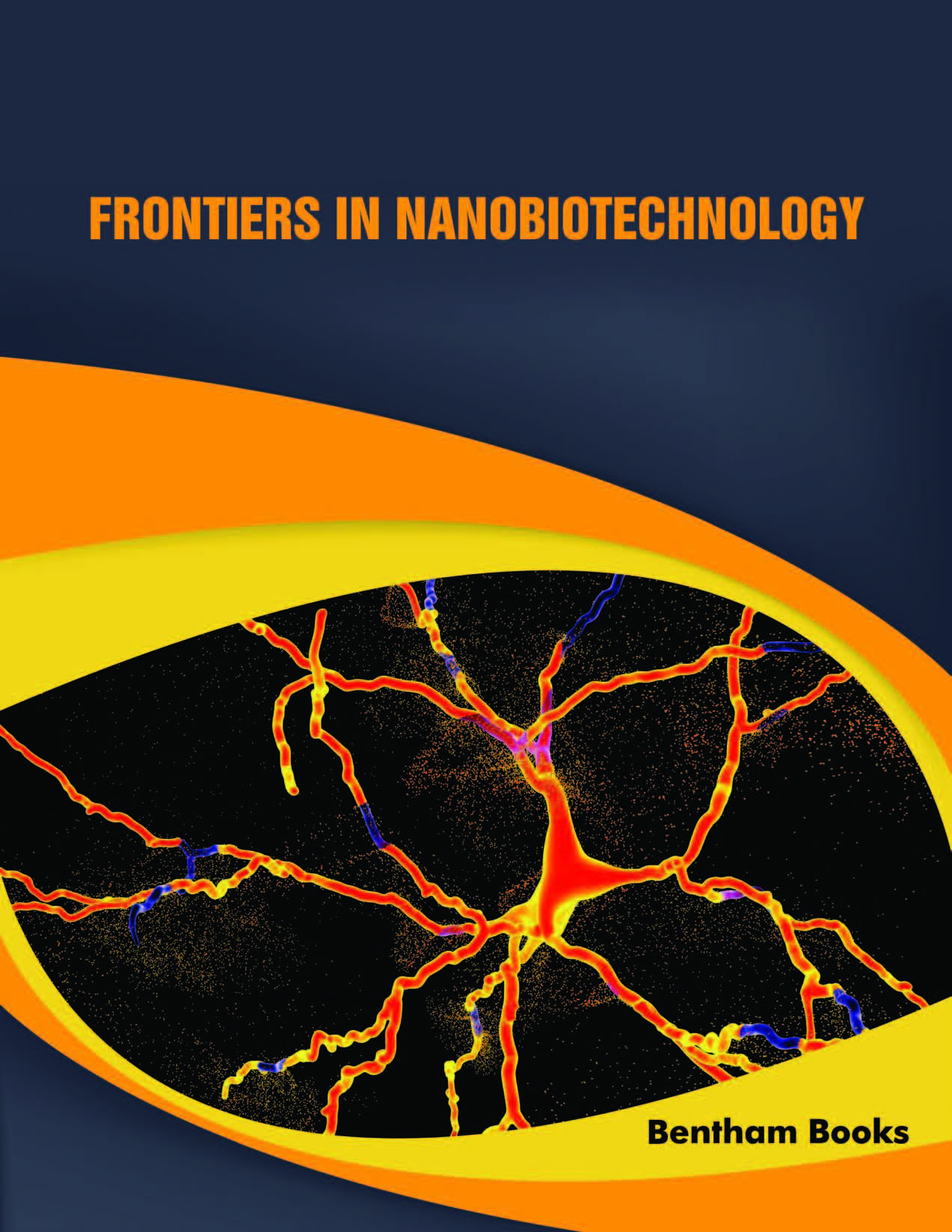 Frontiers in Nanobiotechnology