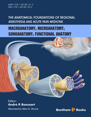 The Anatomical Foundations of Regional Anesthesia and Acute Pain Medicine