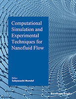 Computational Simulation and Experimental Techniques for Nanofluid Flow