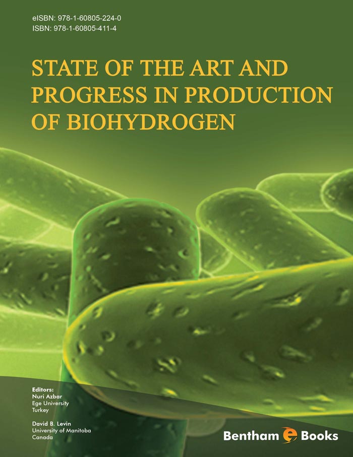 State of the Art and Progress in Production of Biohydrogen