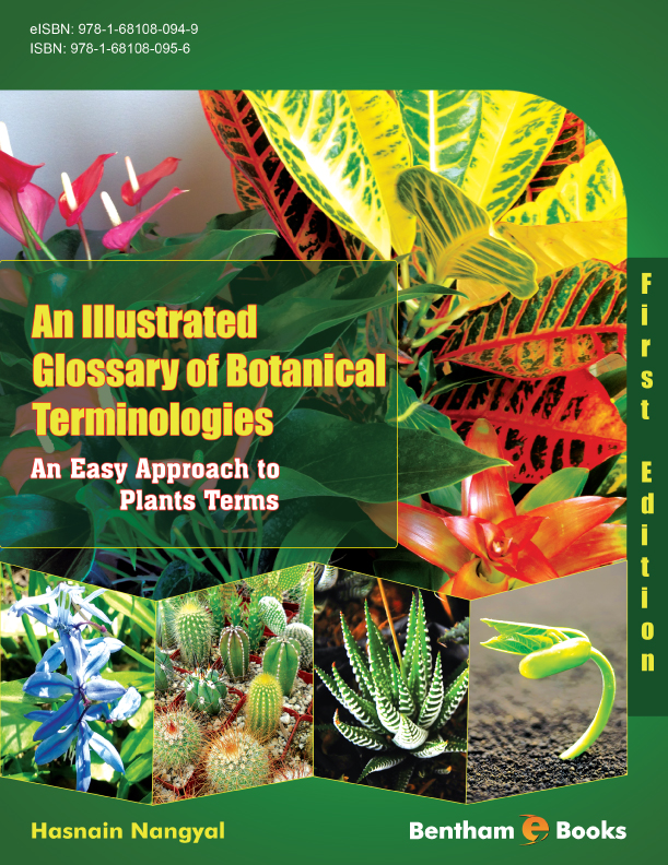 An Illustrated Glossary of Botanical Terminologies (An Easy Approach to Plants Terms) (First Edition)