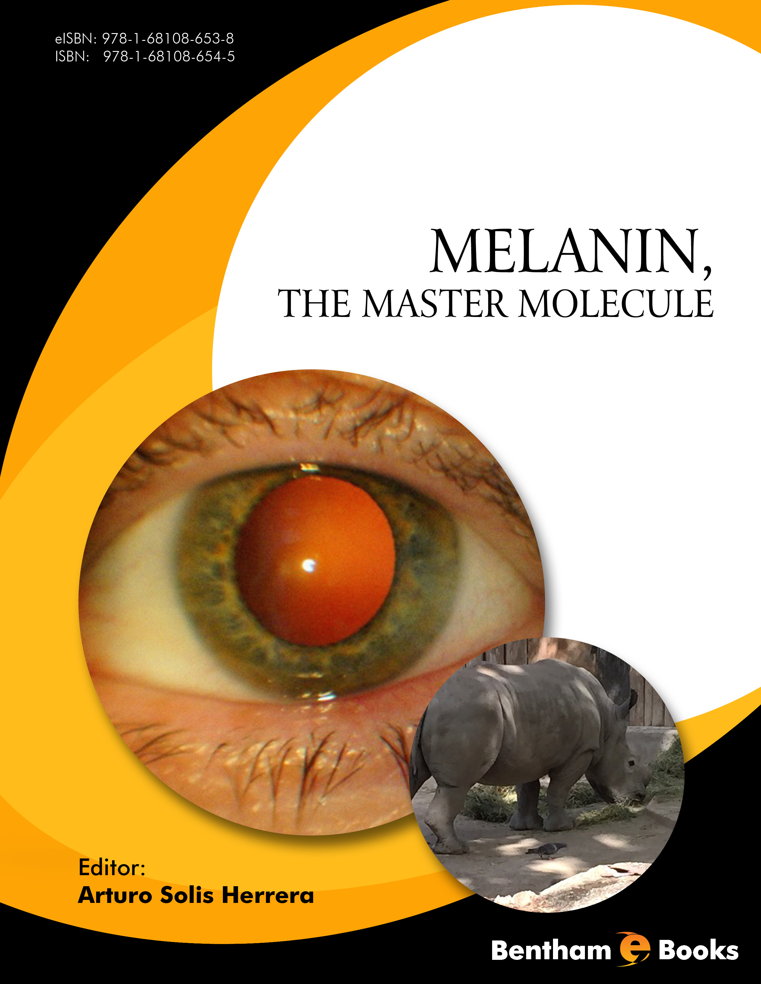 Melanin, the Master Molecule