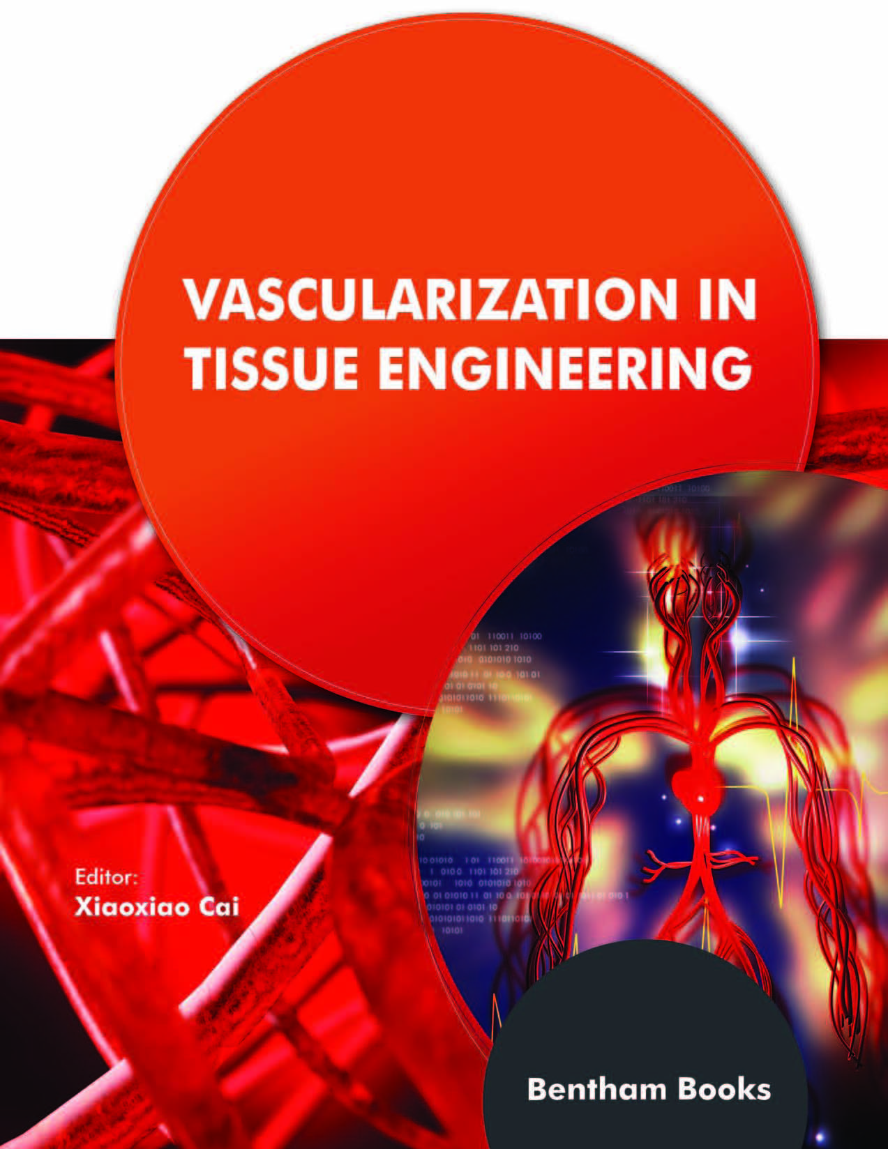 Vascularization in Tissue Engineering