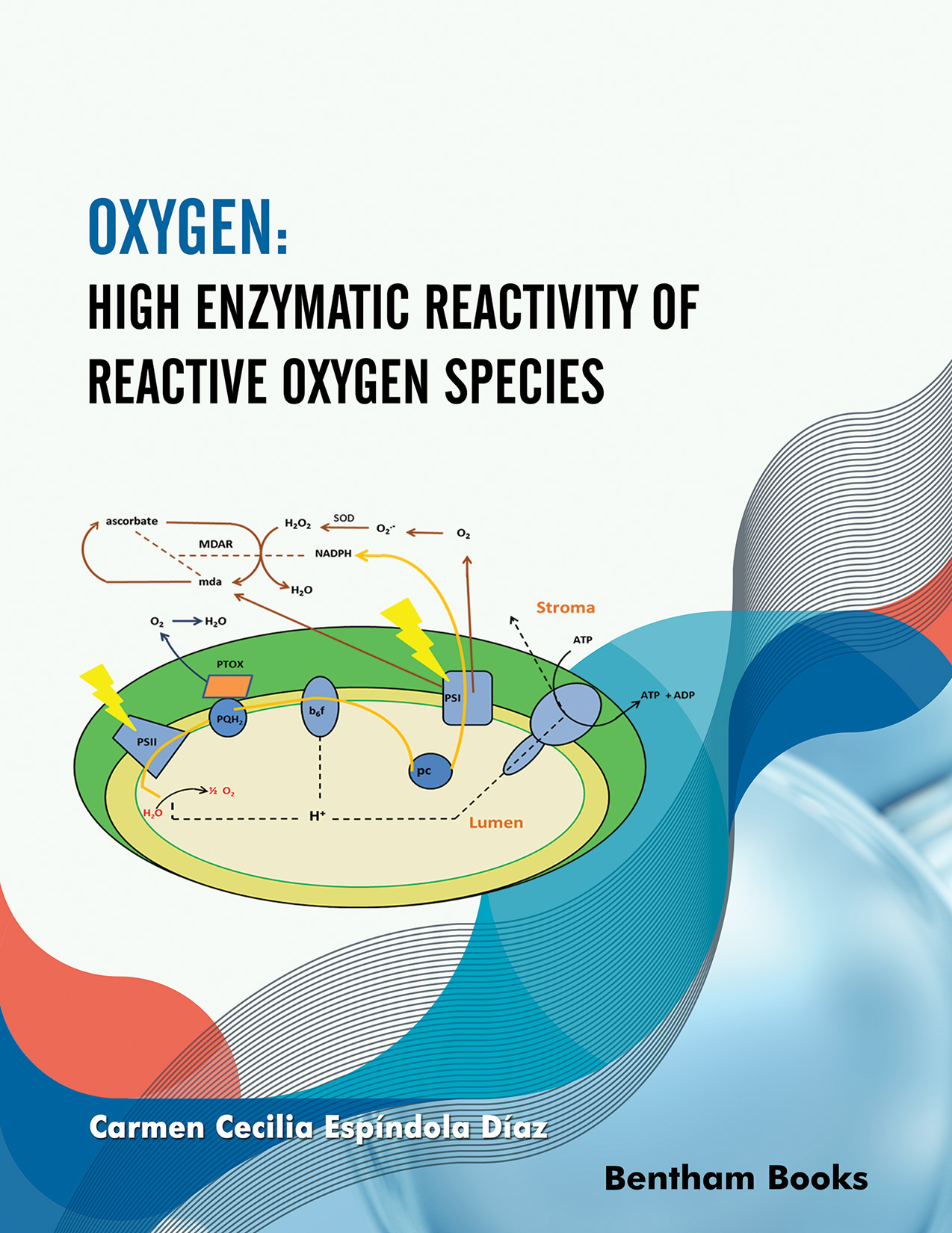 Oxygen: High Enzymatic Reactivity of Reactive Oxygen Species