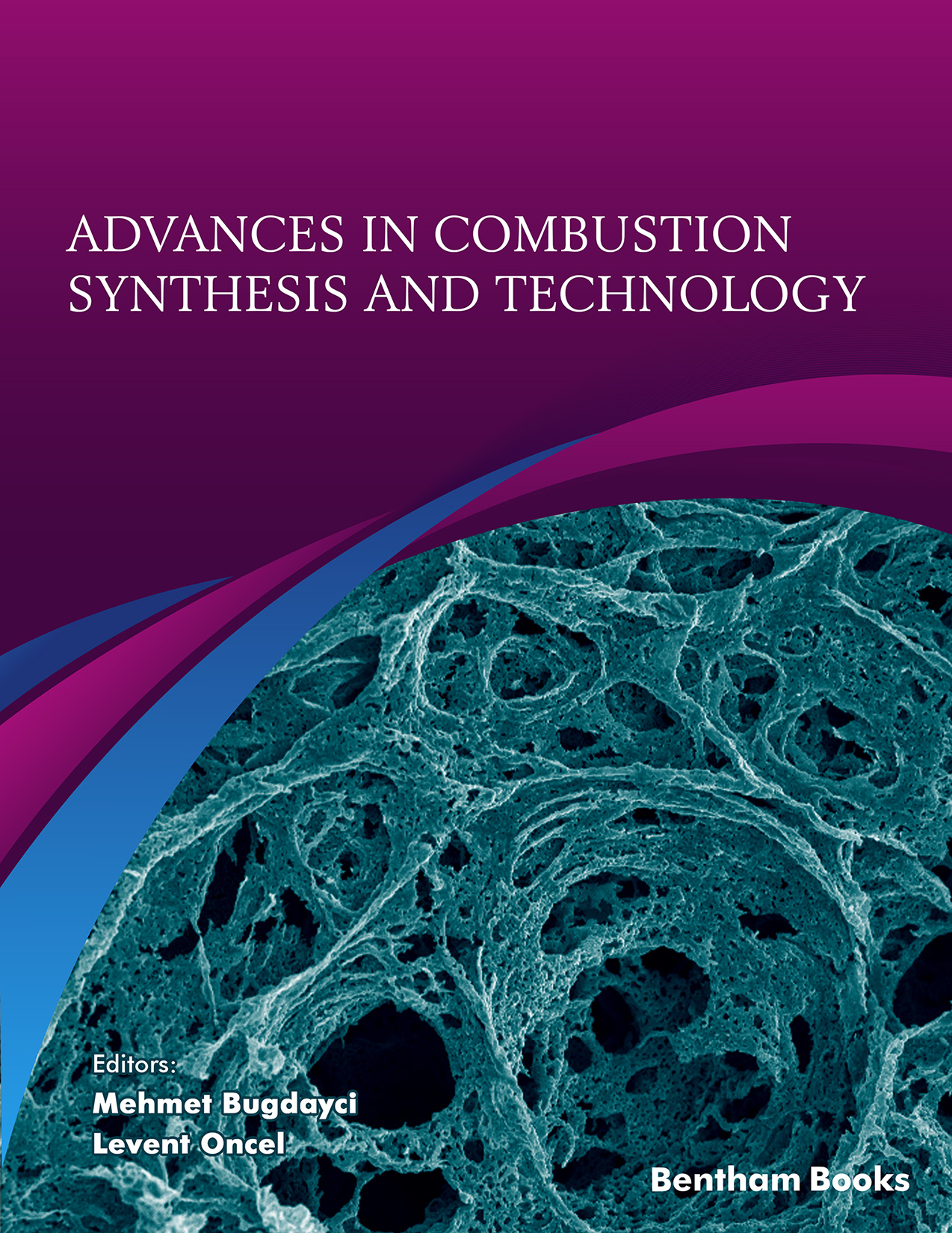 Advances in Combustion Synthesis and Technology
