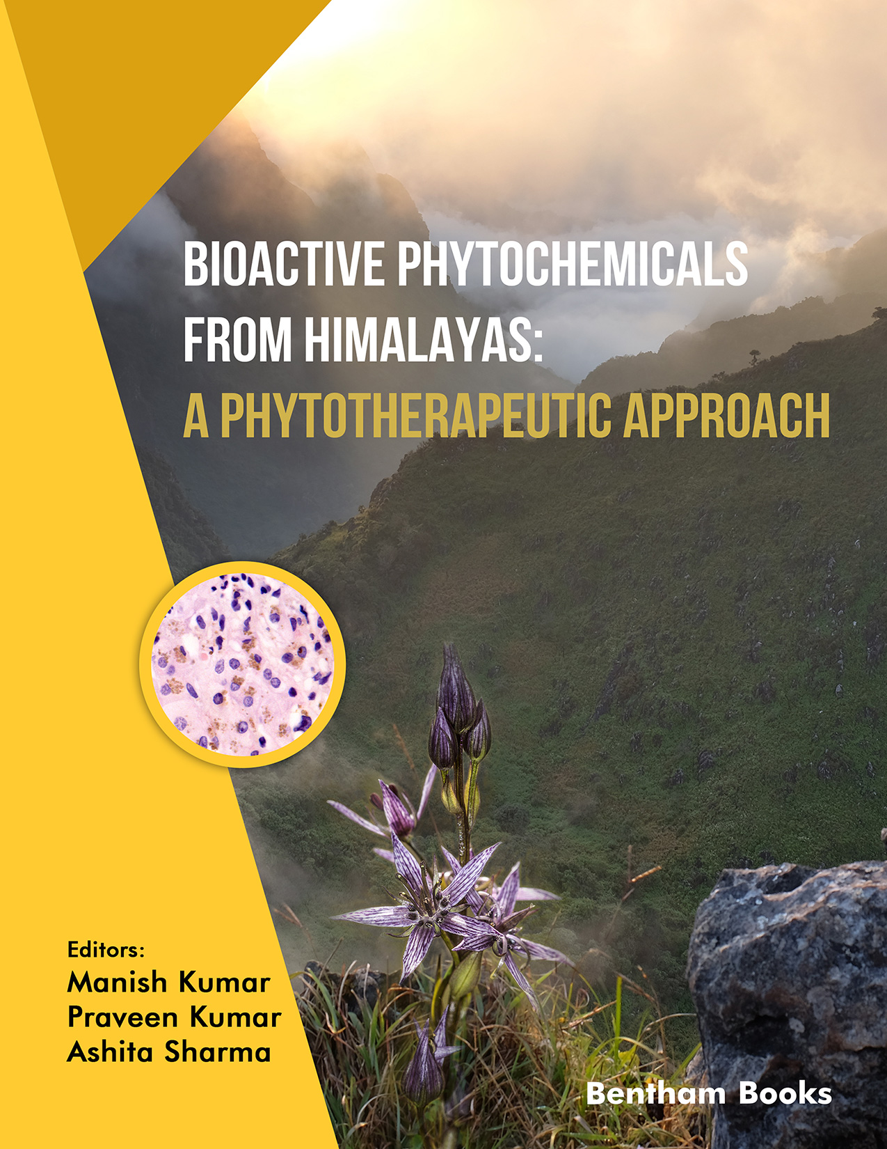 Bioactive Phytochemicals from Himalayas: A Phytotherapeutic Approach