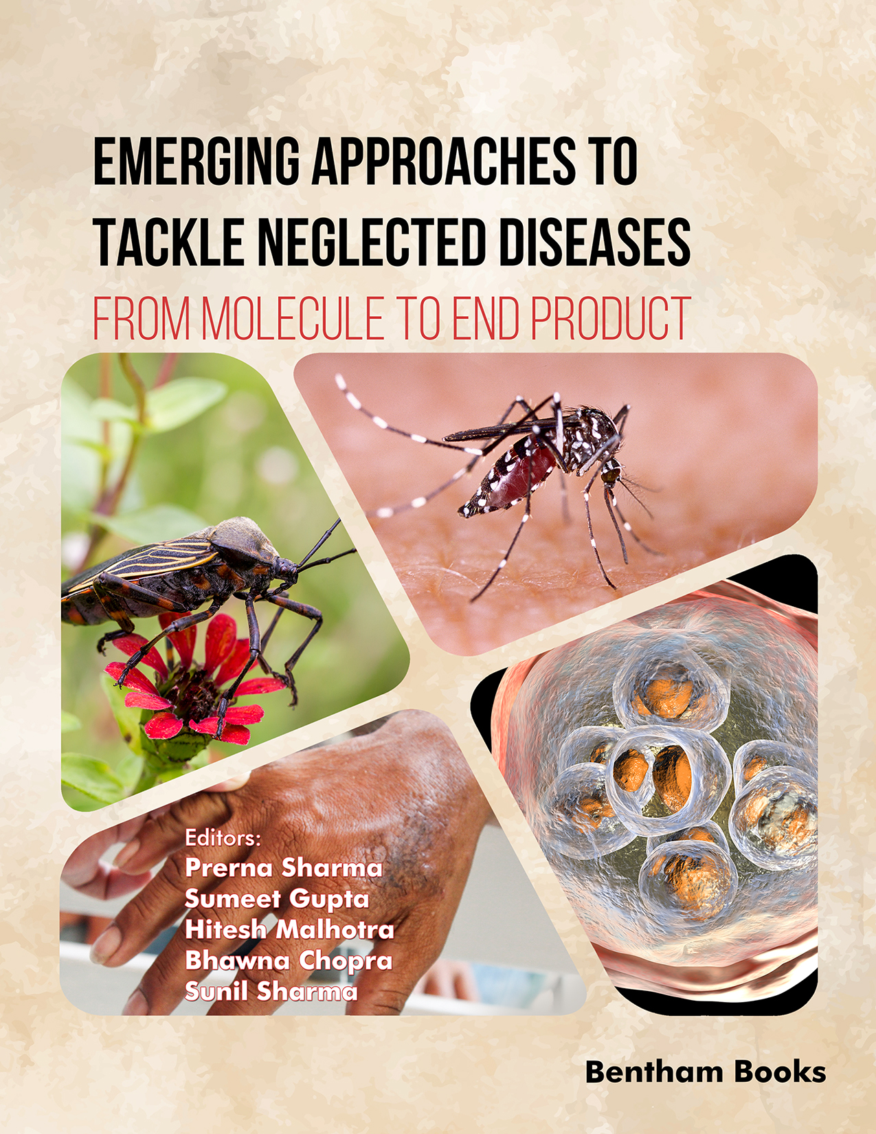 Emerging Approaches to Tackle Neglected Diseases: From Molecule to End Product