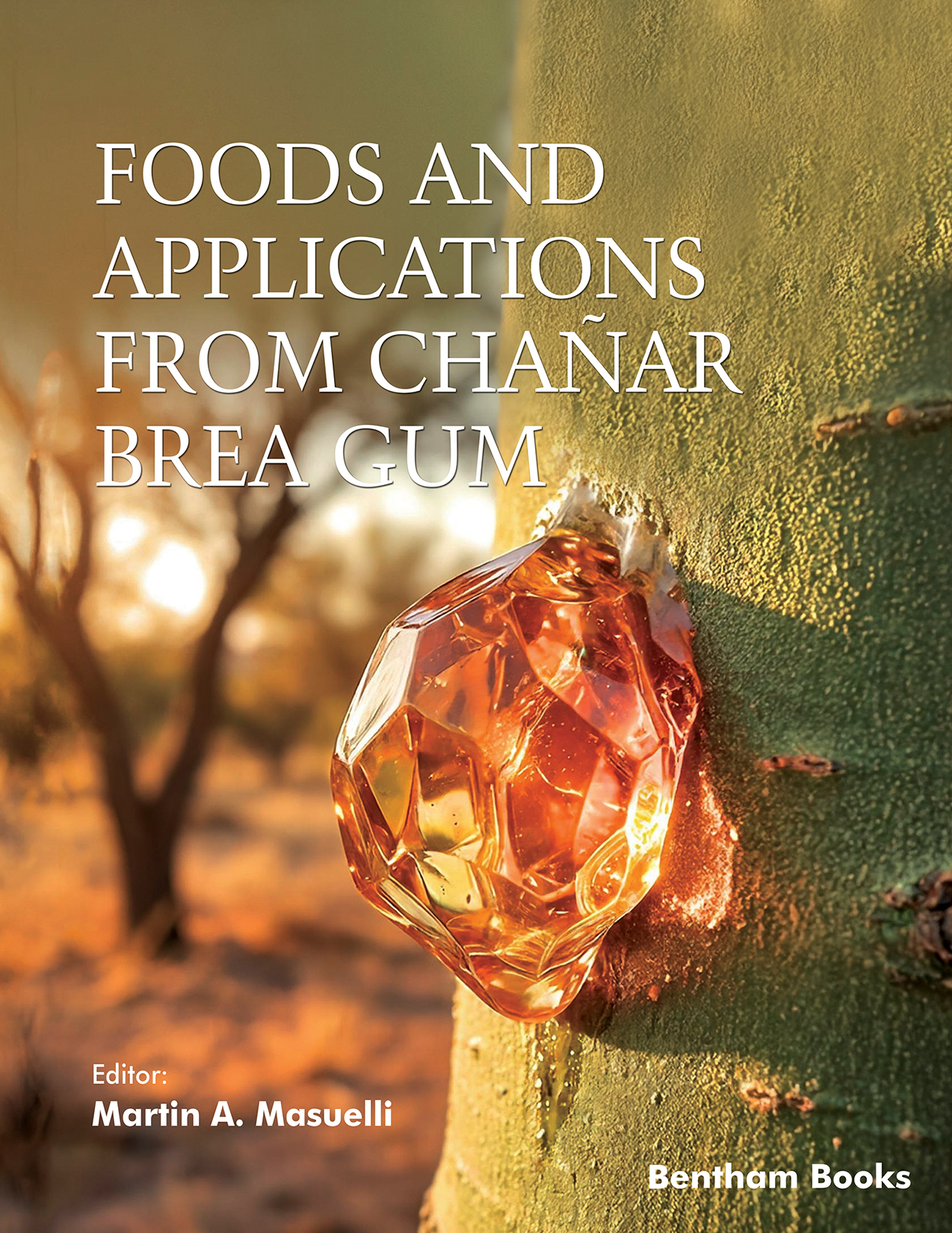 Foods and Applications from Chañar Brea Gum